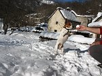 15 Teddy e la palla di neve